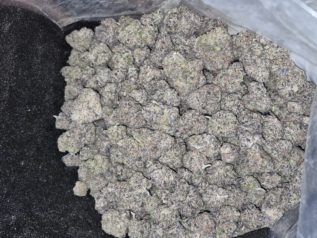Grape Gas Flower